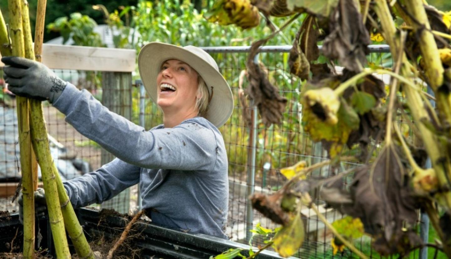 Detrick works with plants