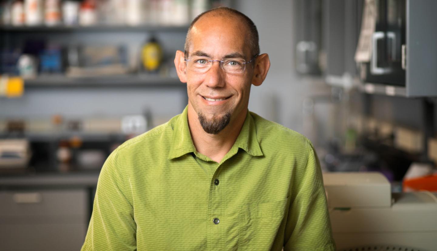 Brian Lazzaro in a lab