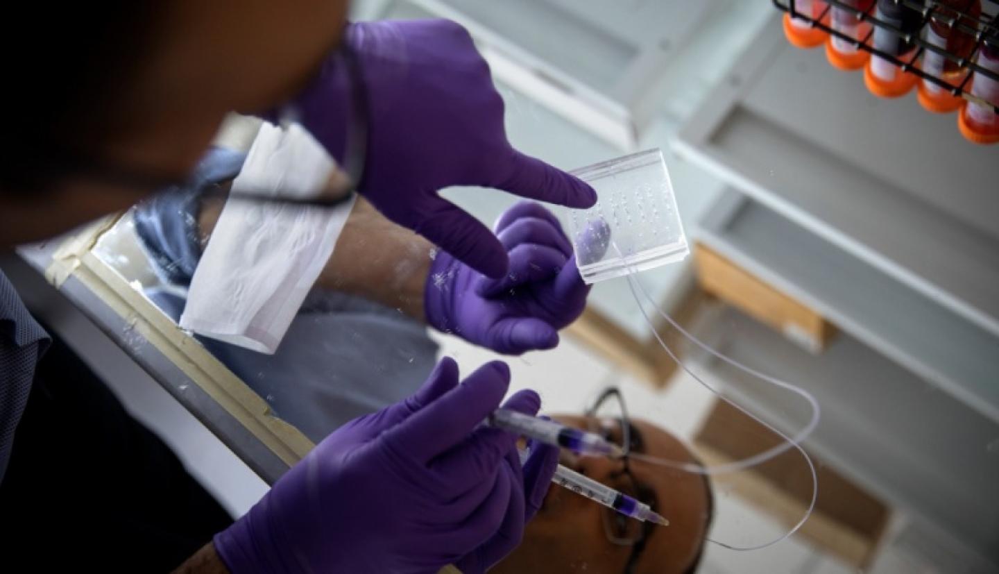 Researcher works on microchip