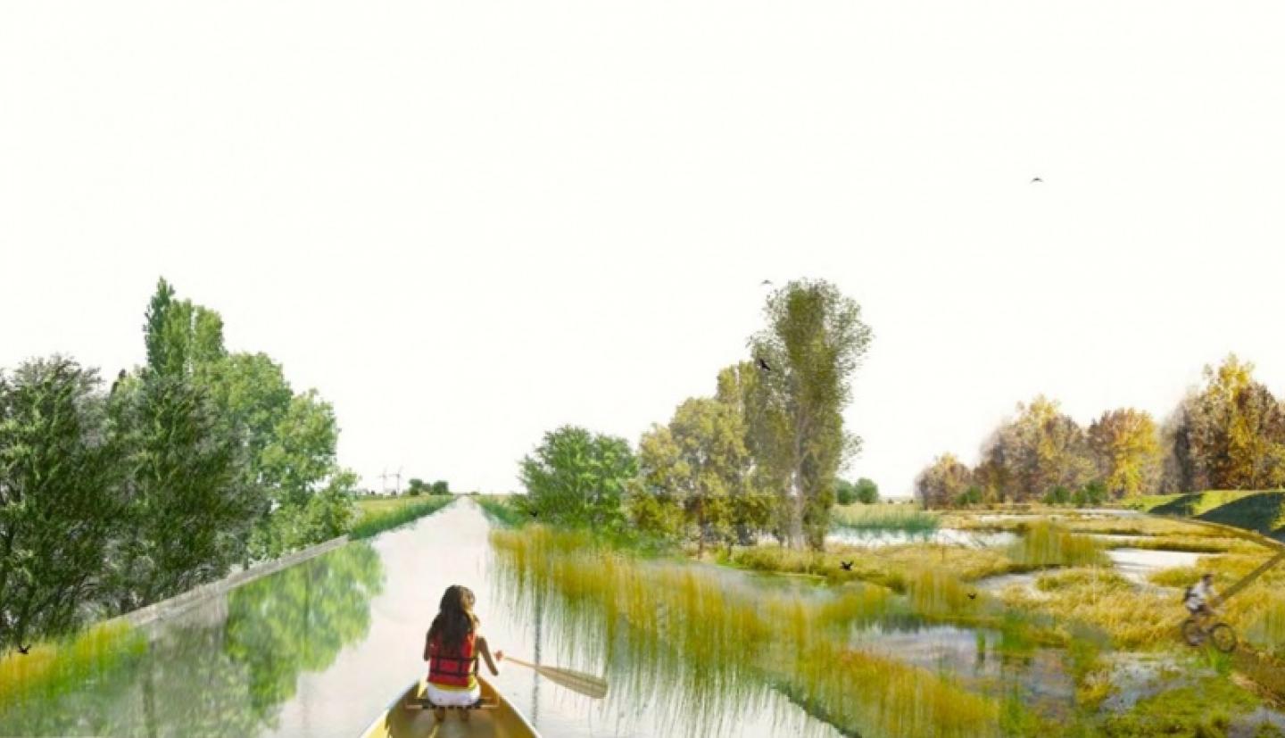 Person canoeing through wetlands in artistic rendering