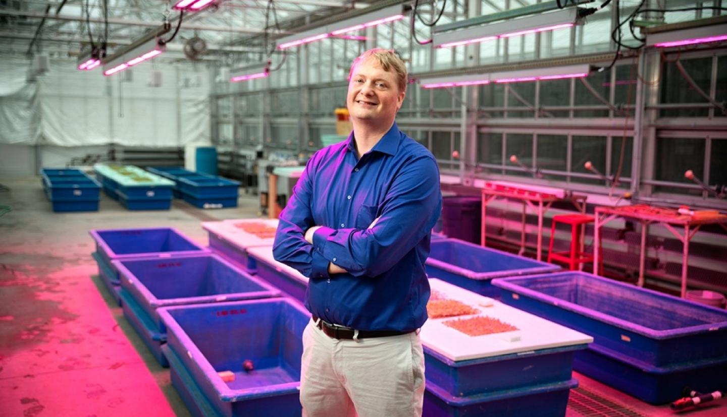Neil Mattson stands in a plant lab