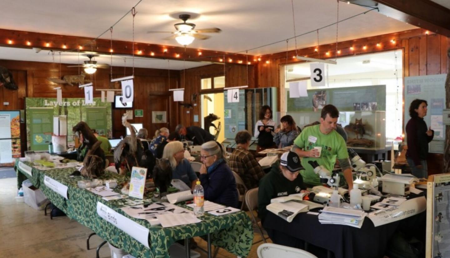 Researchers gather around tables