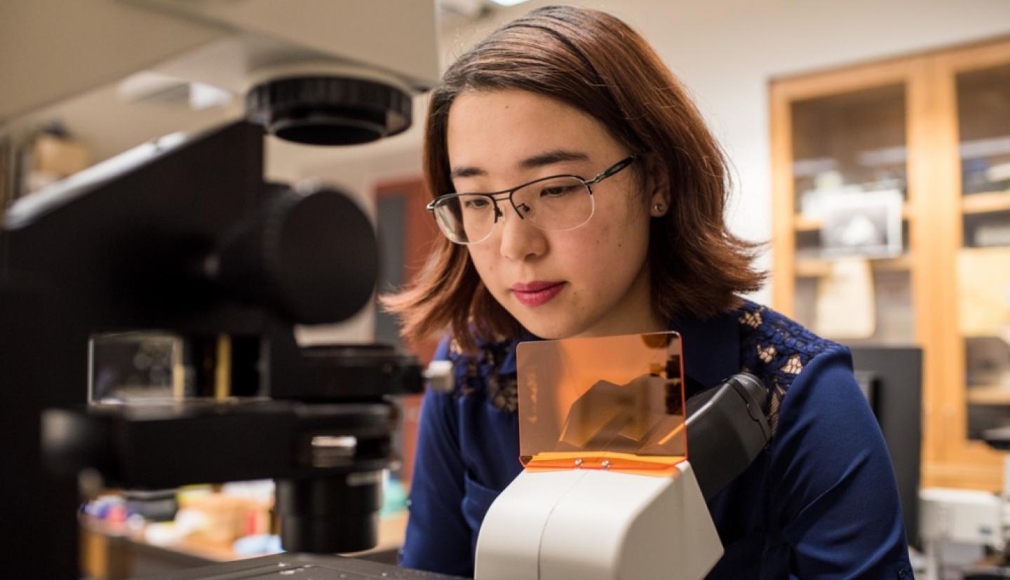 Yi Wen works at a microscope