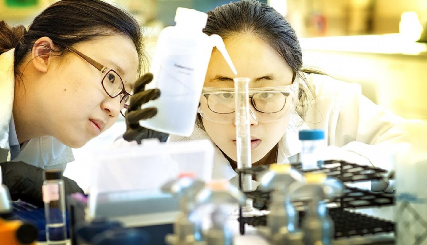 Students work with equipment in lab