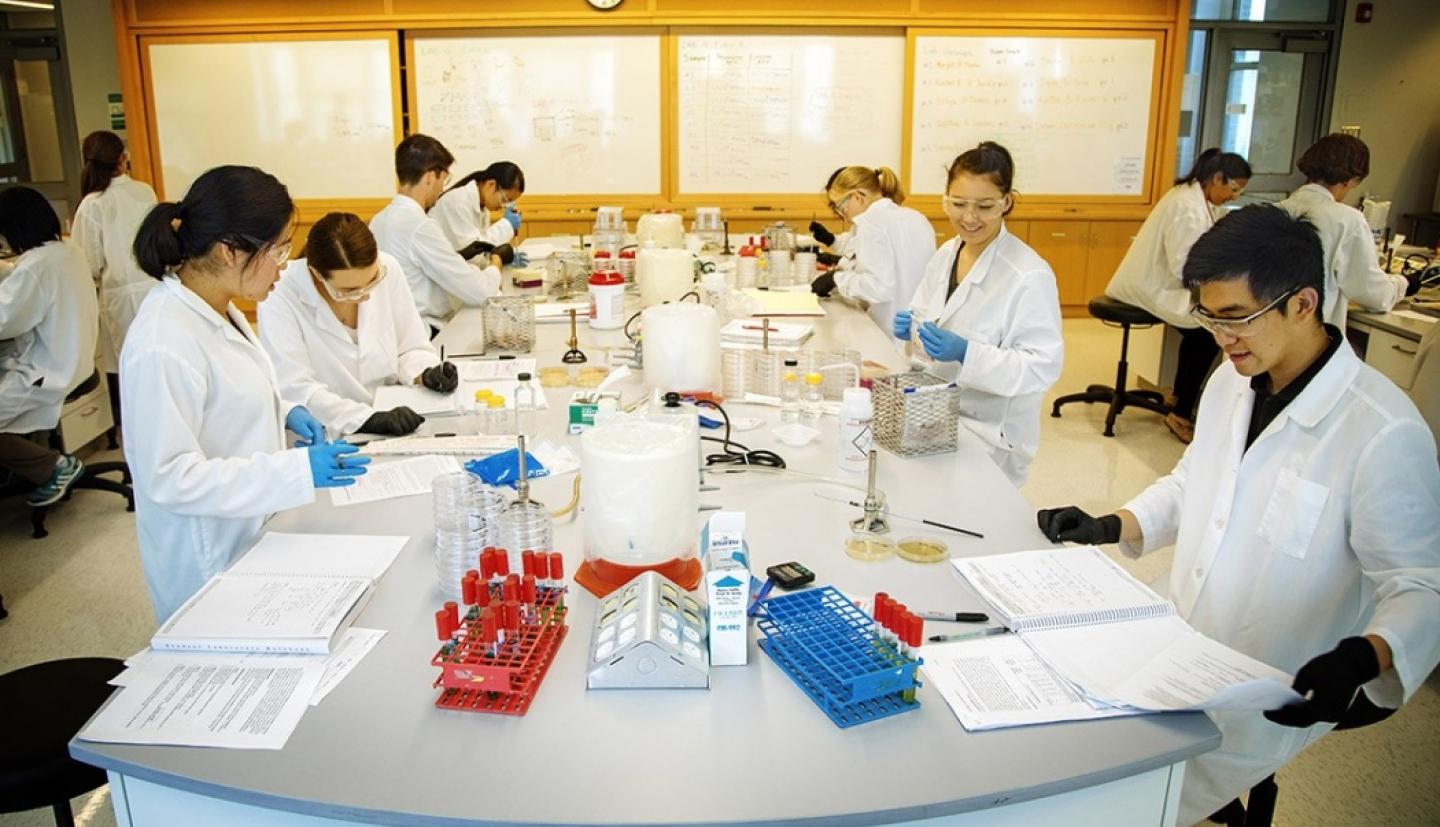 Students working in a lab