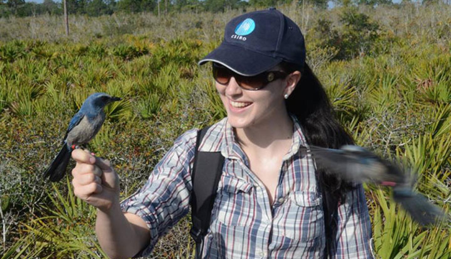 Bird sits on researcher's finger