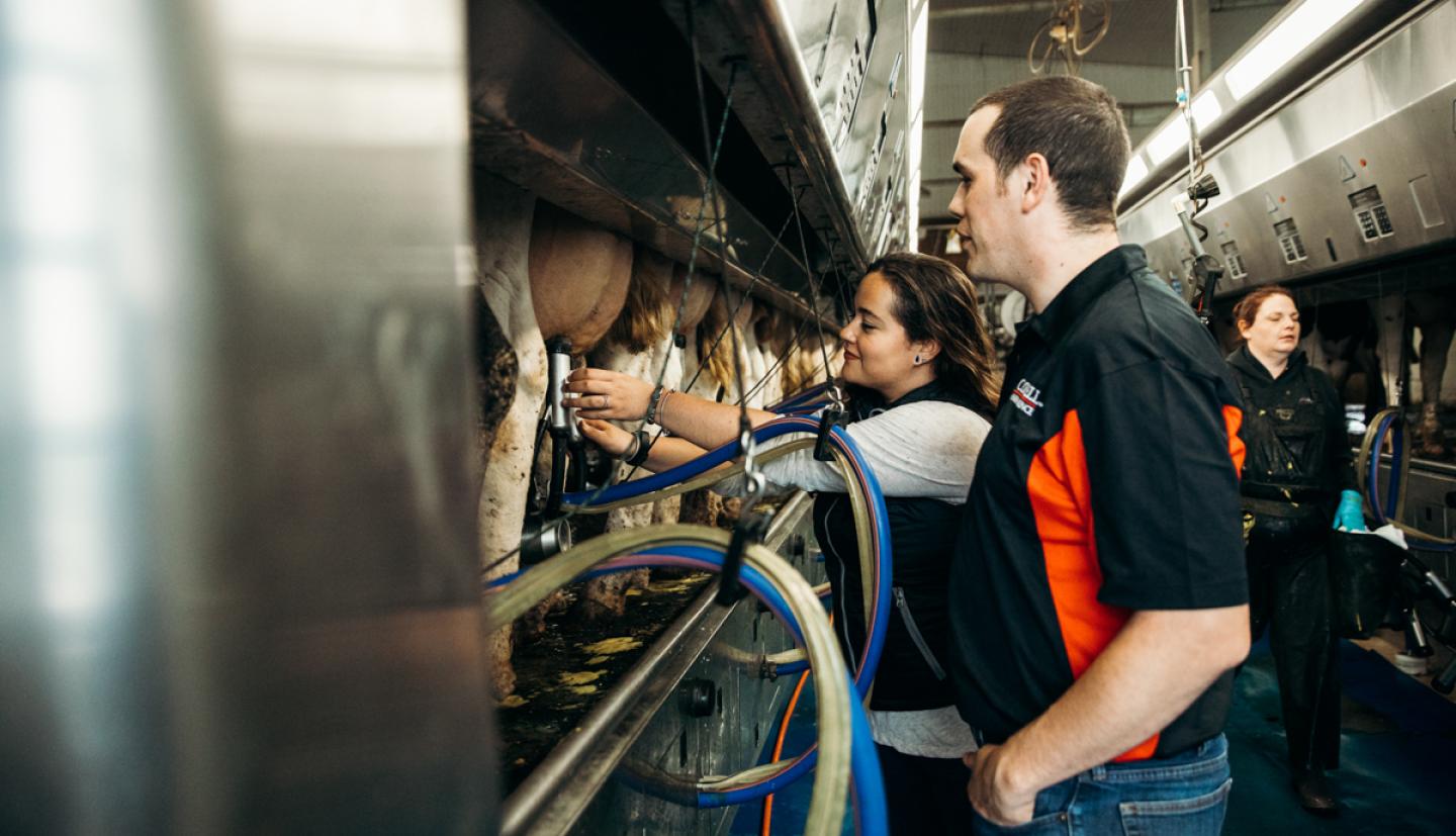 fontoura with mcfadden