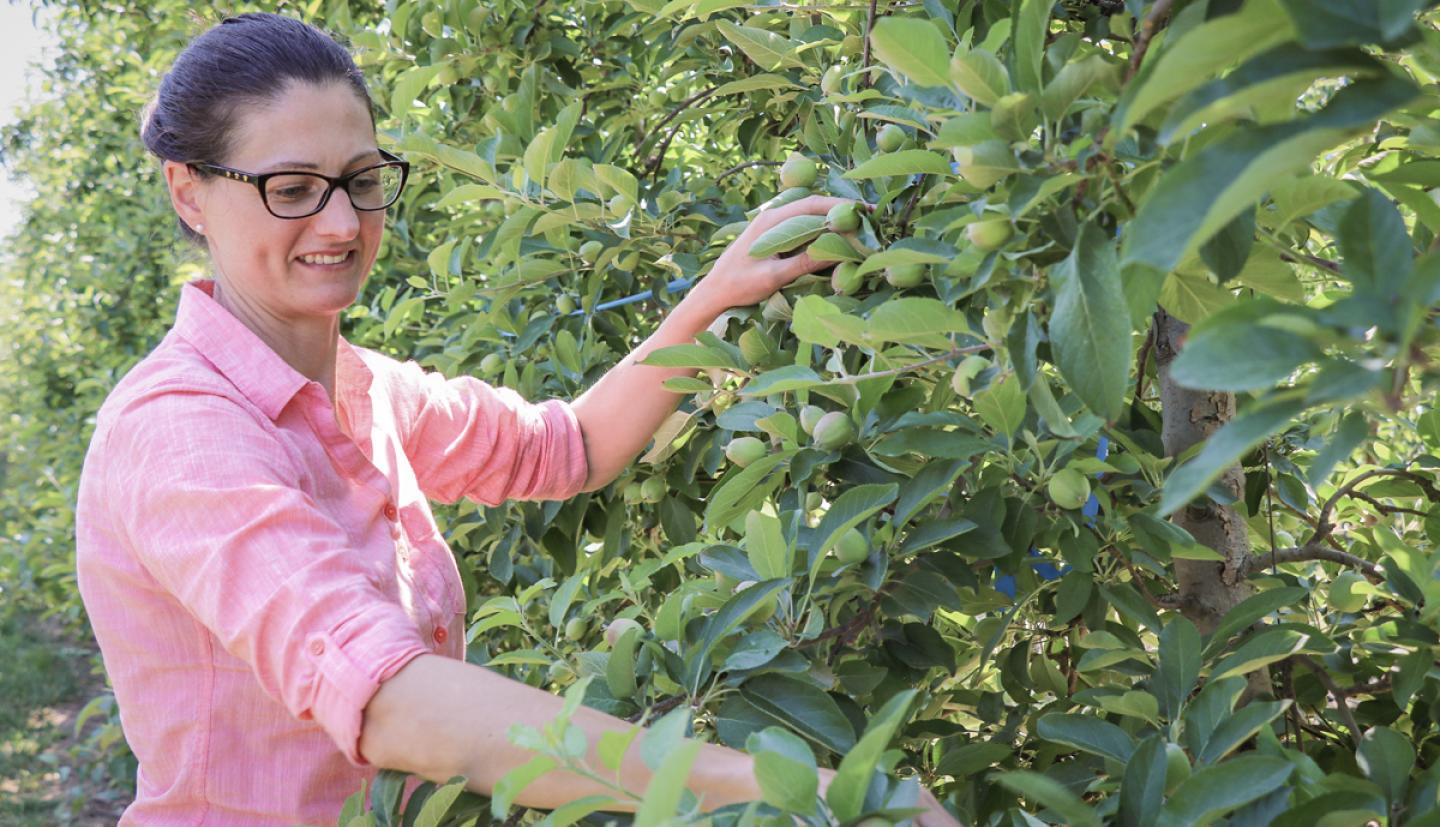 Poliana Francescatto examines fruit trees