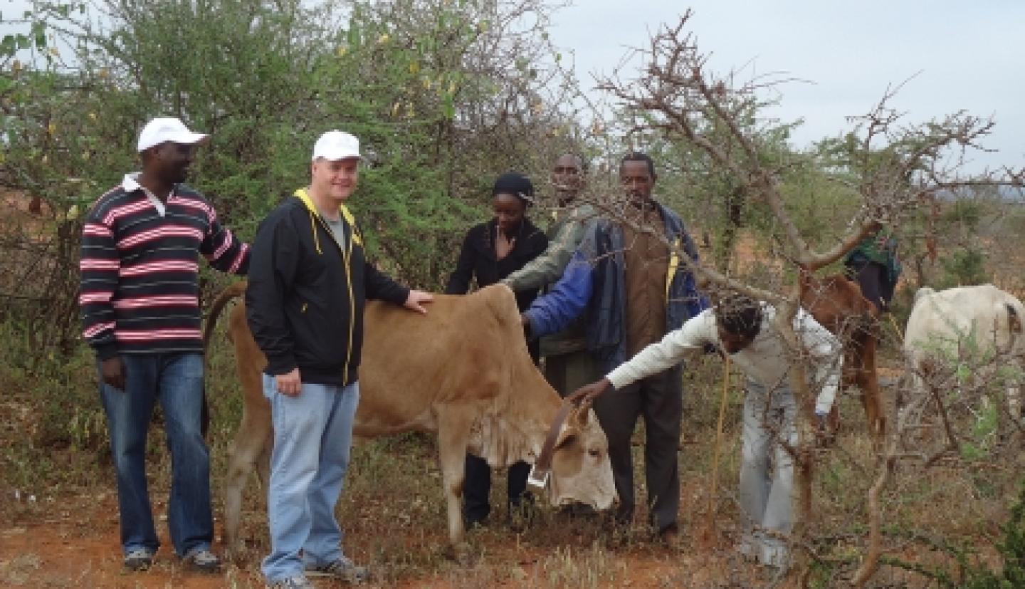 Researchers stand with cows