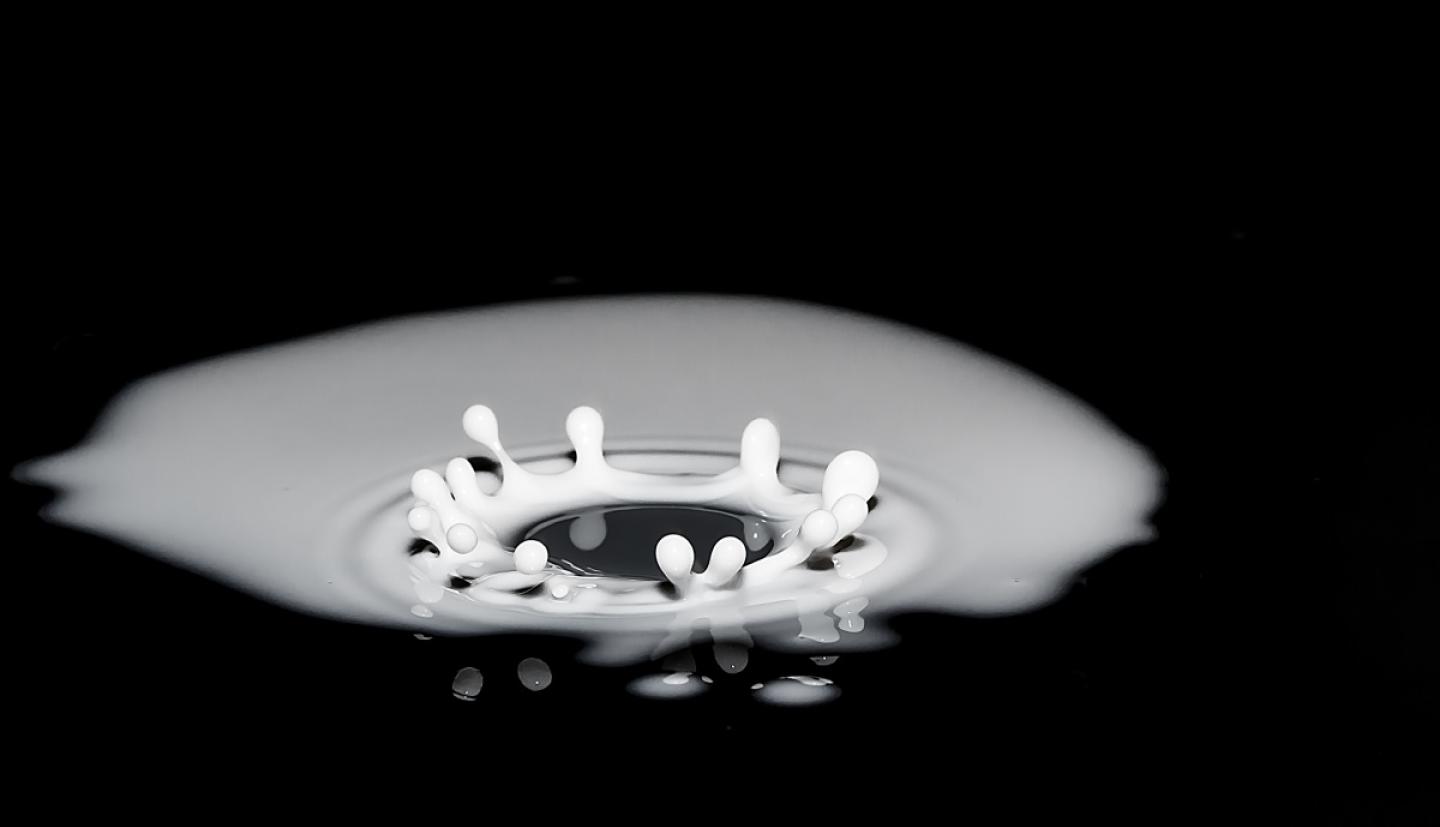 Drop of milk splashing