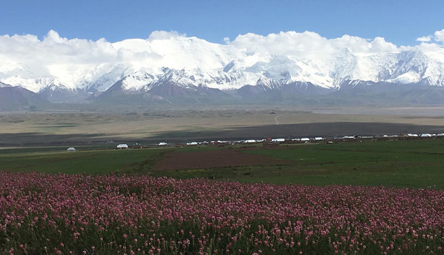 field with flowers with village and mountains in the background