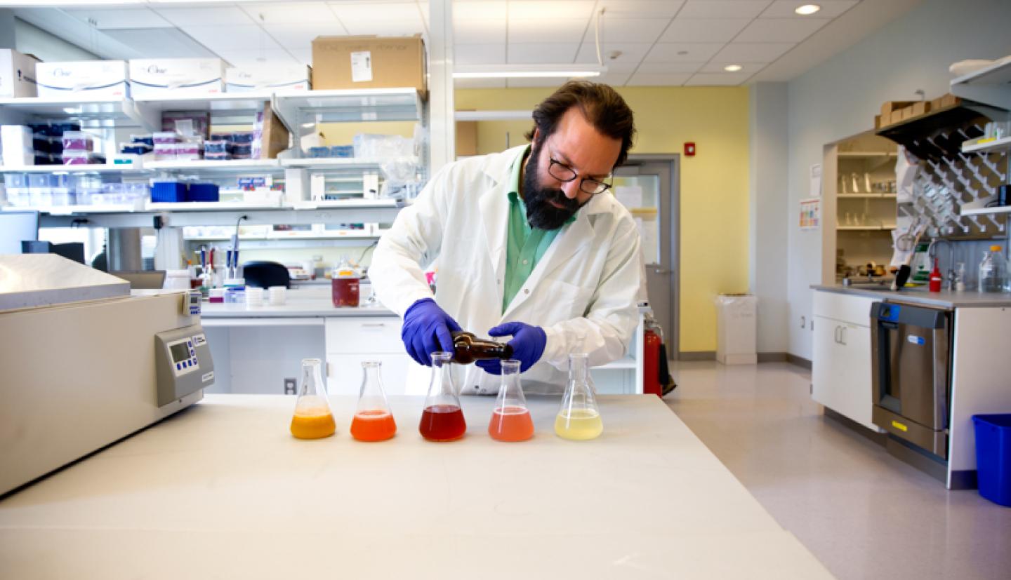 Professor works in lab