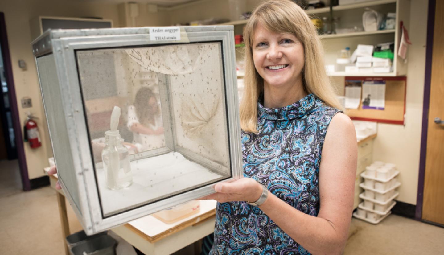 Laura Harrington and her work