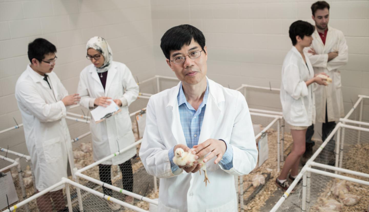 Xingen Lei and his studies