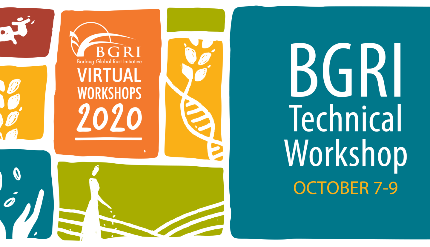 BGRI Technical Workshop October 7-9