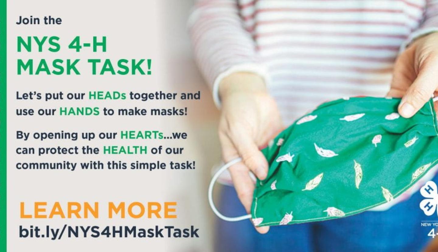 4-h mask task flyer
