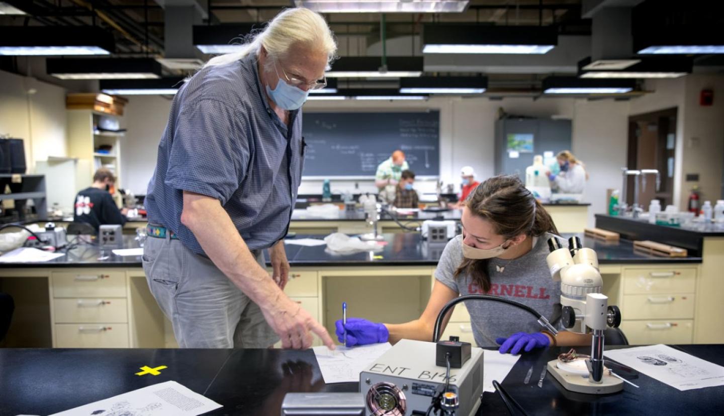 A man standing over and talking to a student as she works at a lab bench 