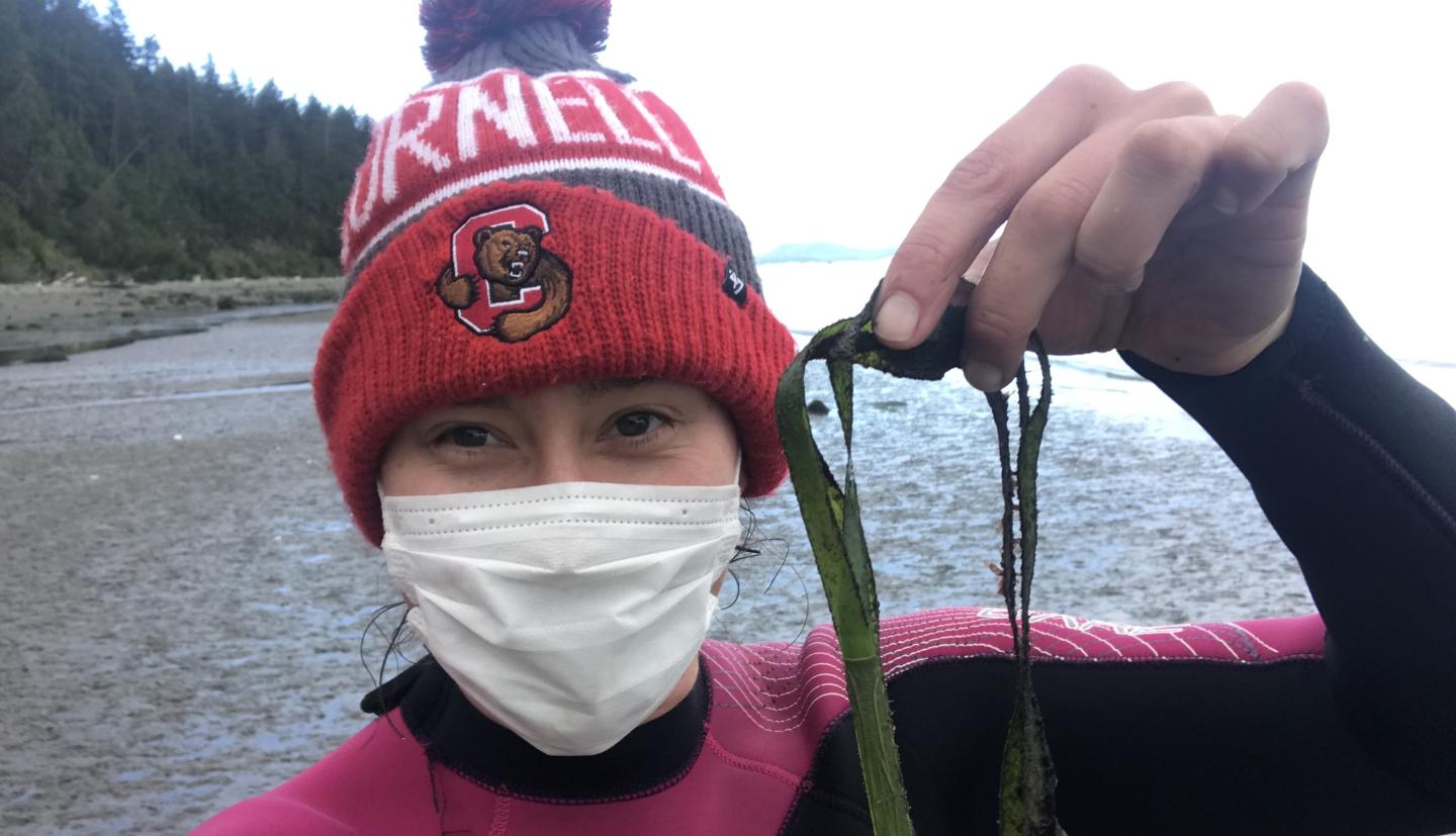Olivia holding up a piece of eelgrass