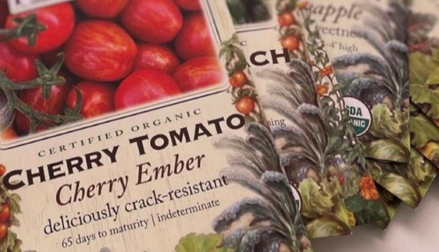 seed packets for Cherry Ember tomatoes