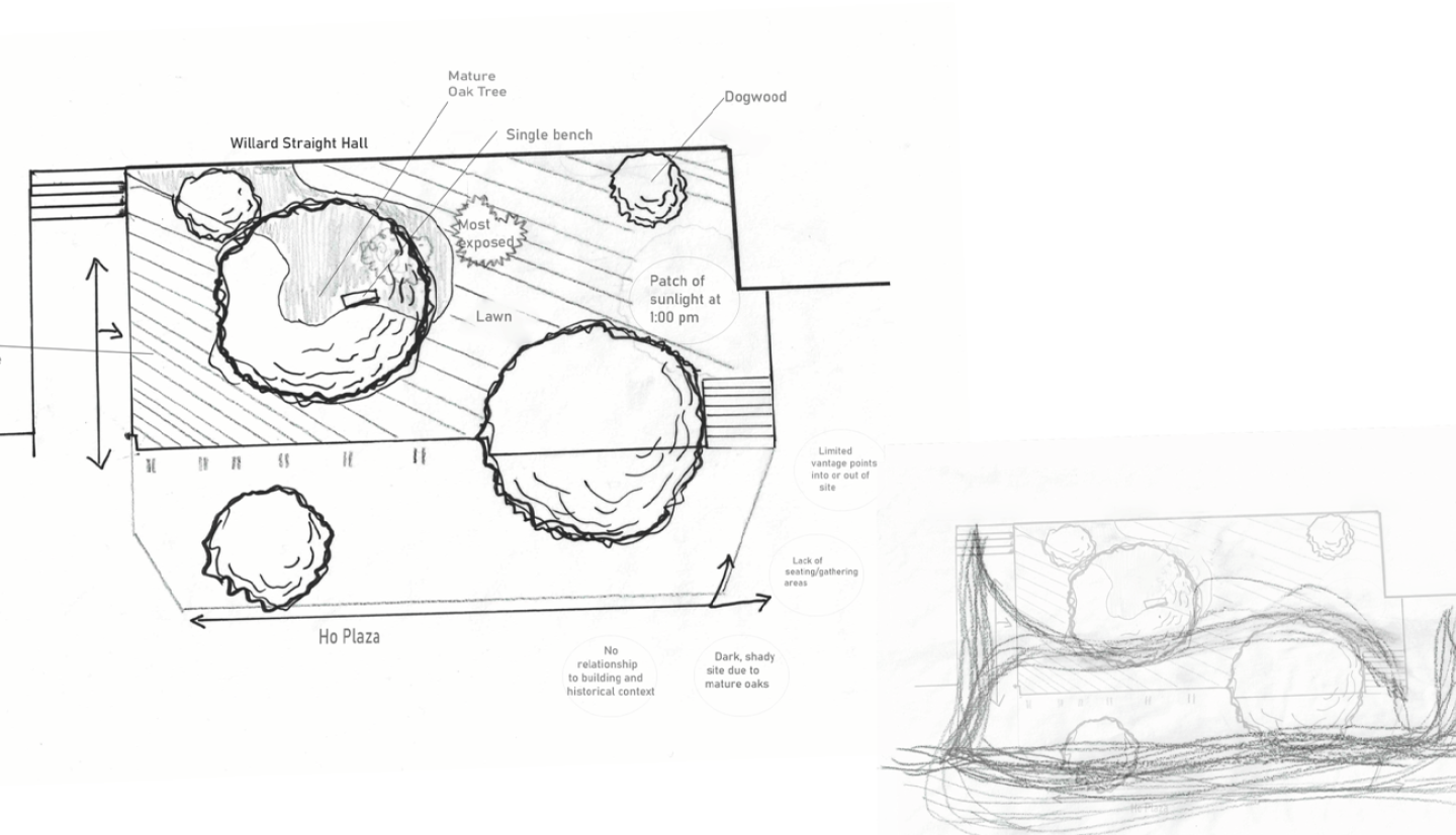 sketches of aerial drawings of garden