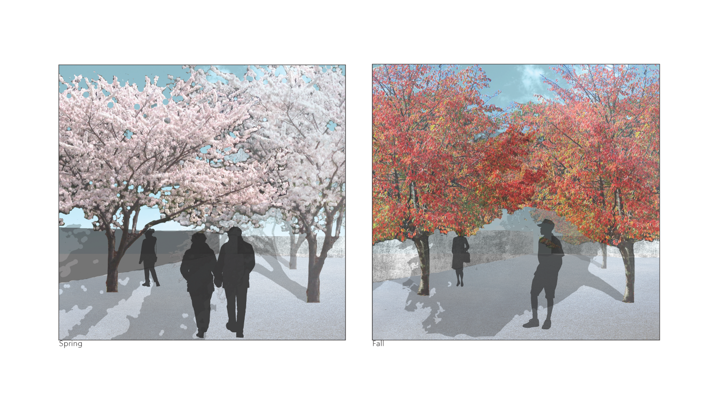 Eleven Alarms | CALS