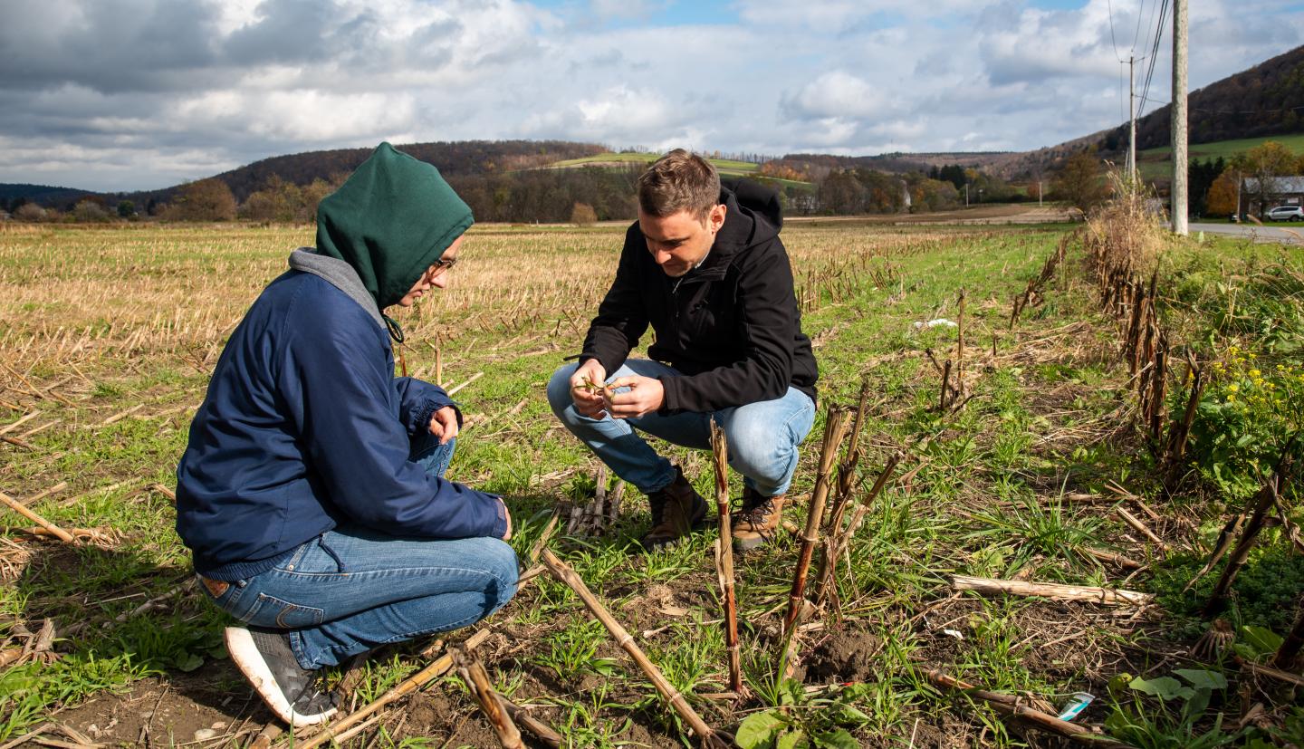 Intern and advisor in field.