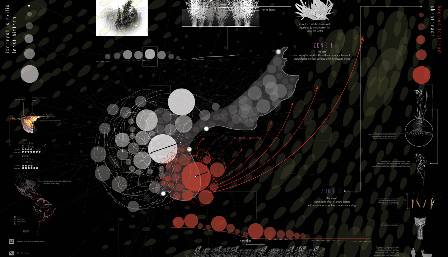 collage diagram with different graphics highlighting species and habitats