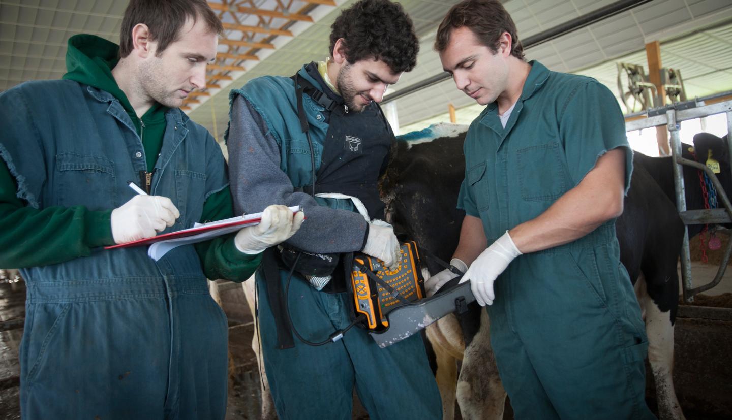 Julio and students in dairy barn
