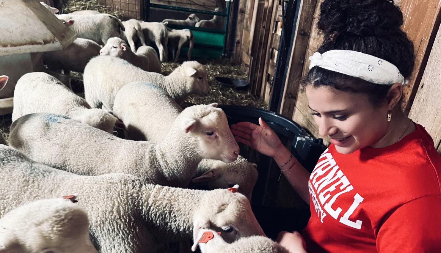 Ariana Rivera-Corona