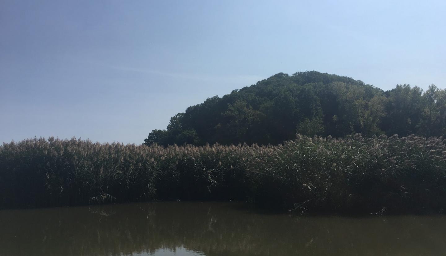 A body of water is frame by marshland and a small tree-covered ridge.