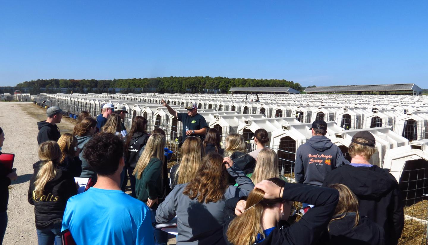 Junior DAIRY LEADER students on a dairy farm tour with calf hutches in the background