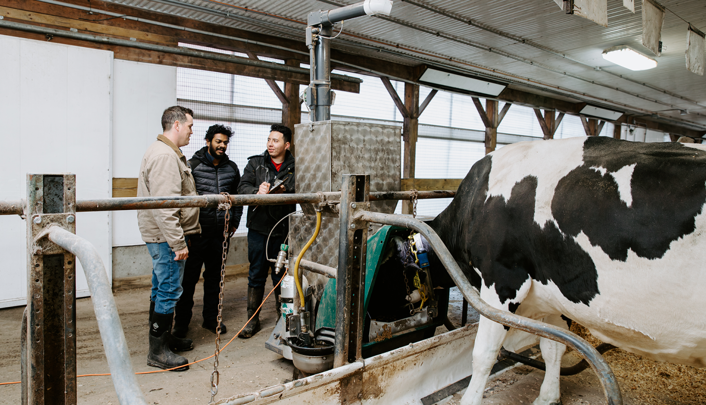three researchers stand behind a machine in a dairy barn