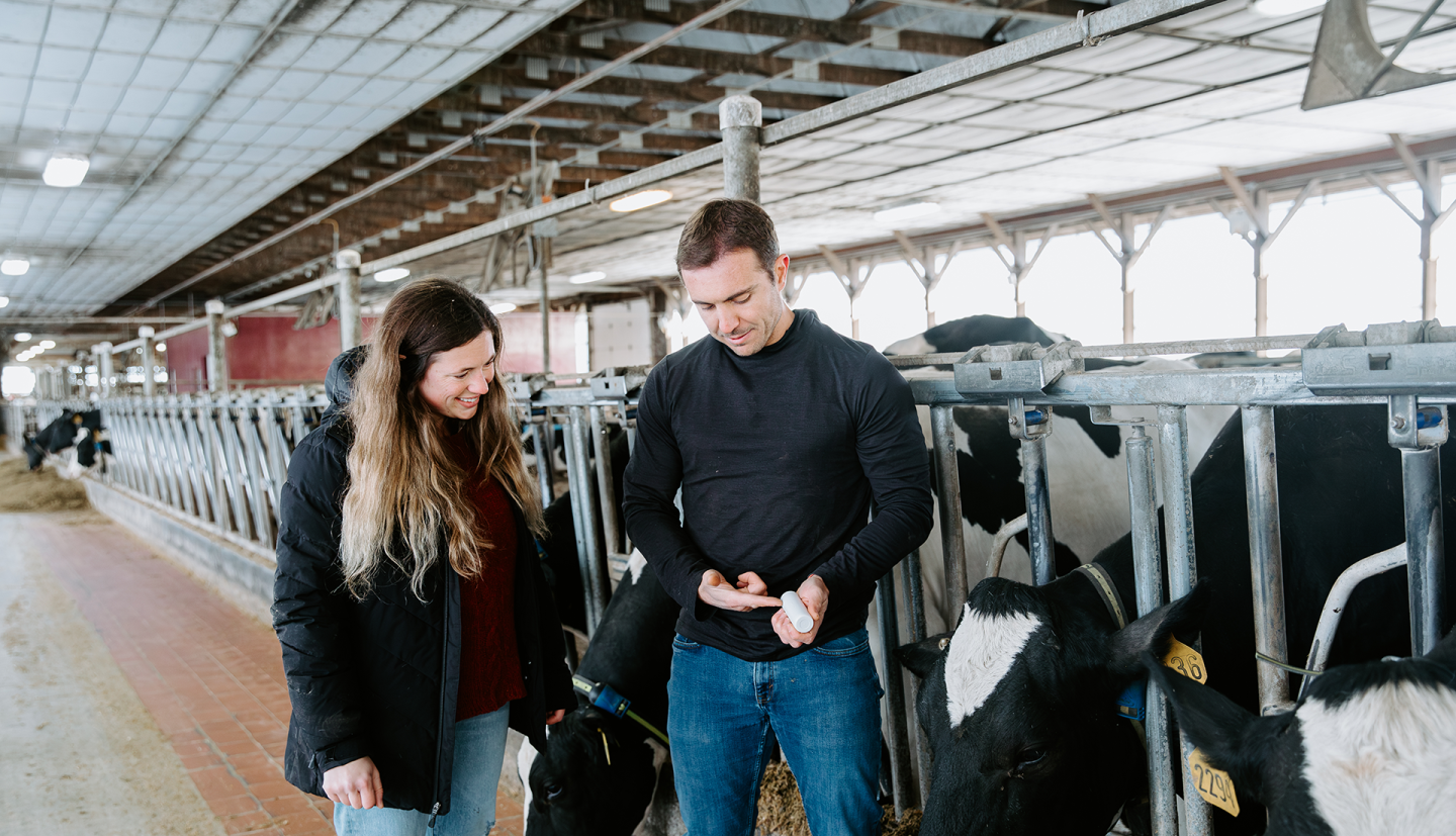 two people stand in a dairy barn looking at technology