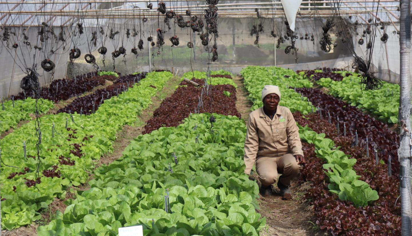 Mann sits in greenhouse