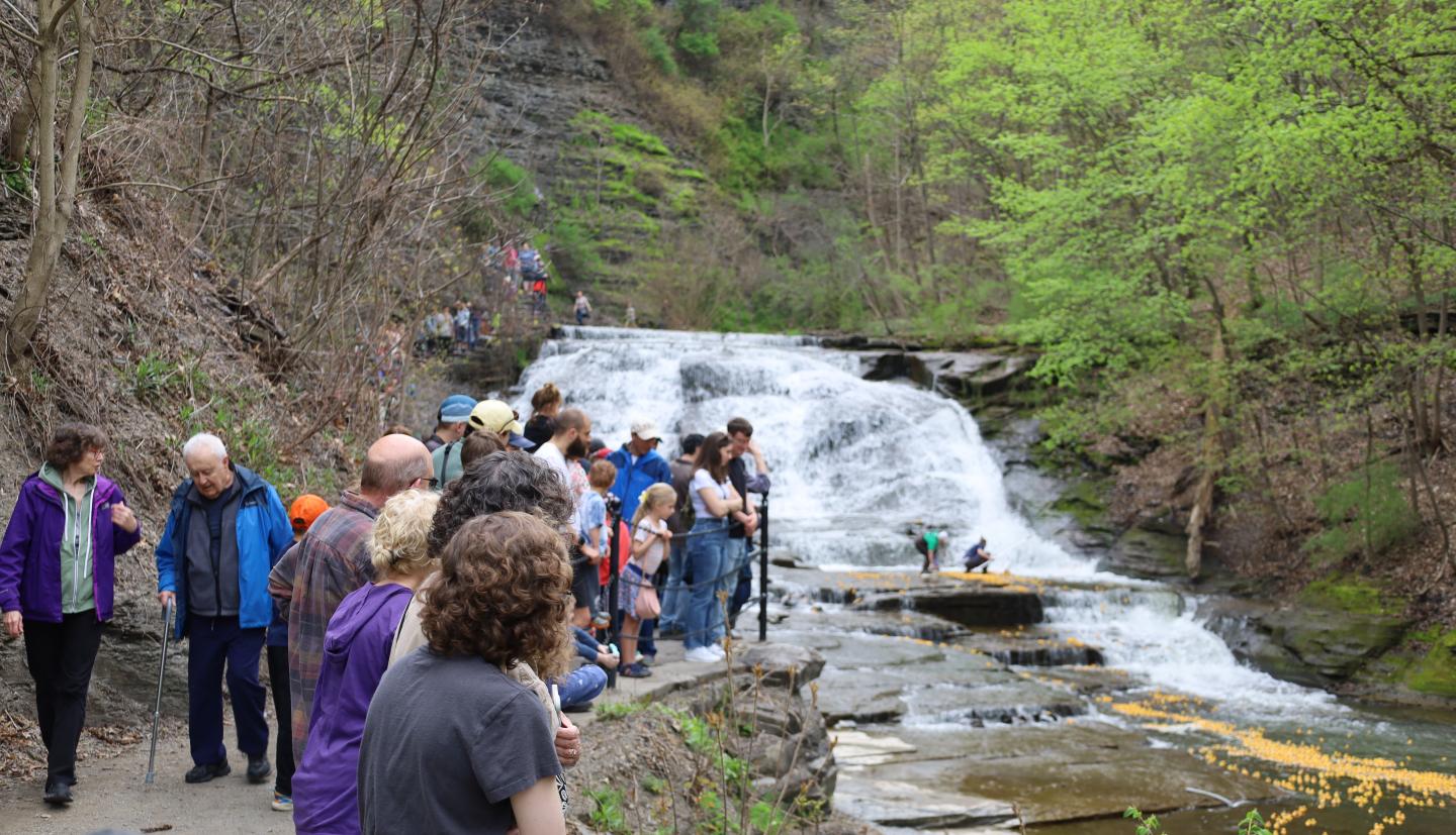 Community members line up alongside the Cascadilla Creek Gorge Trail to watch the 4-H Duck Race