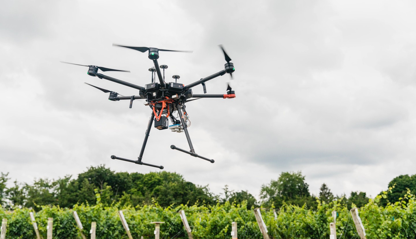 Drone flying over a research vineyard.