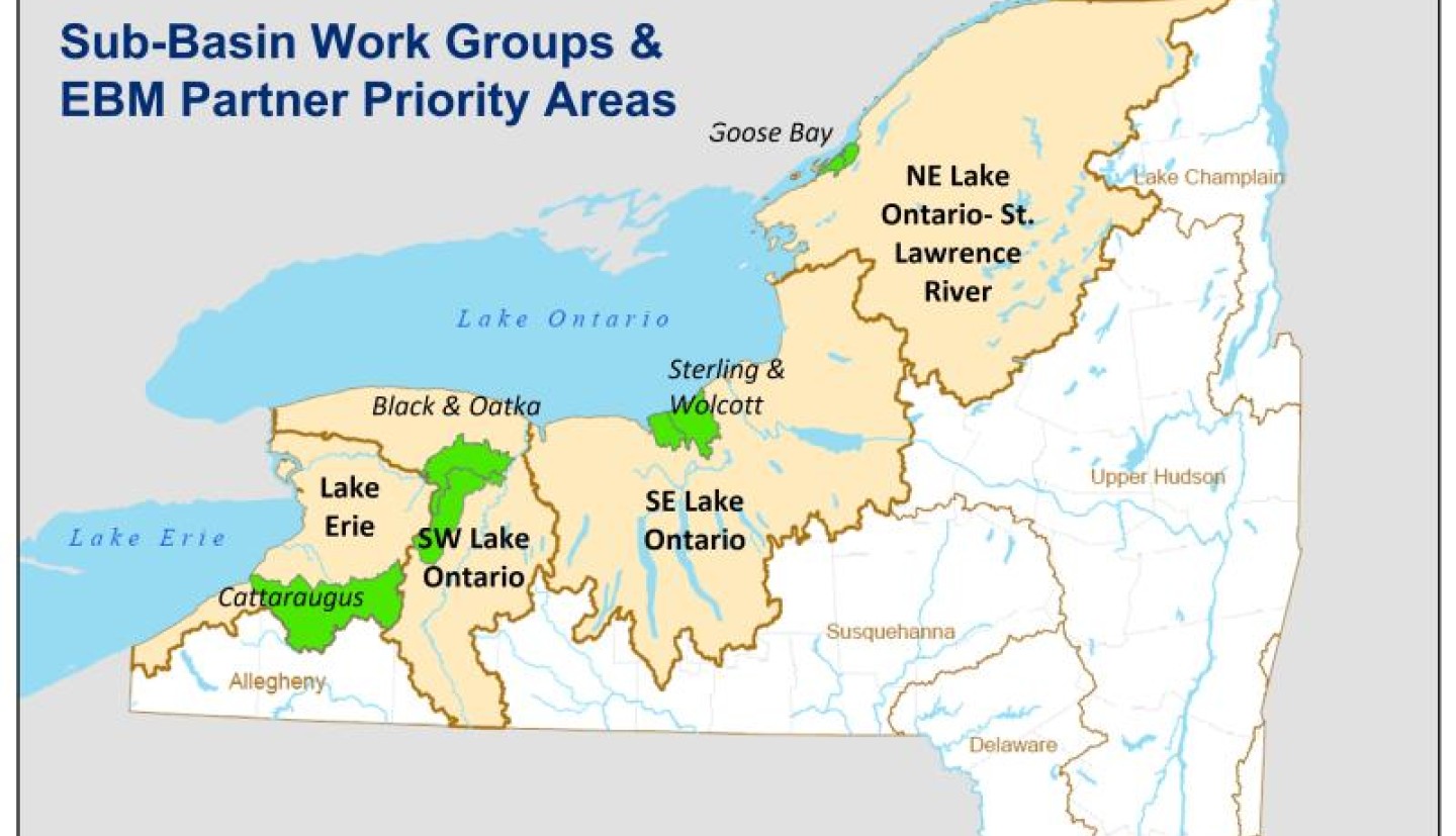Map showing the extent of the Great Lakes watershed in New York State