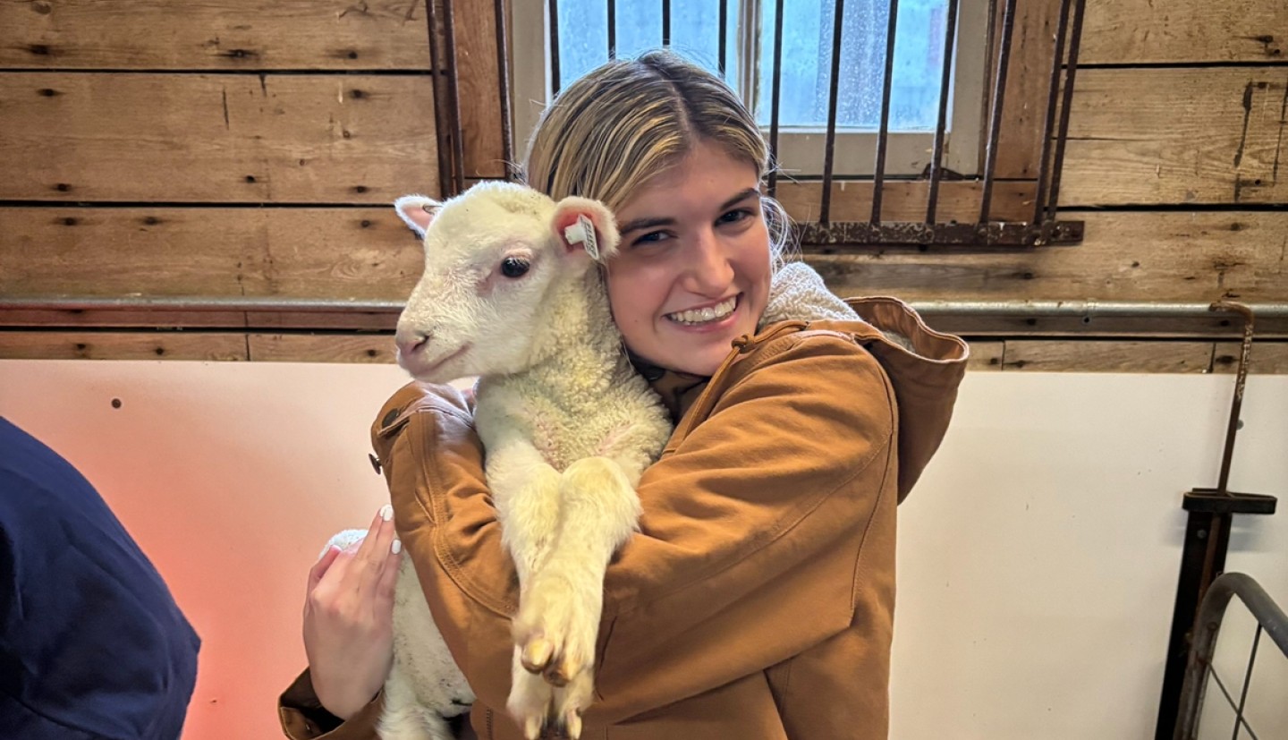 Girl smiling holding a lamb