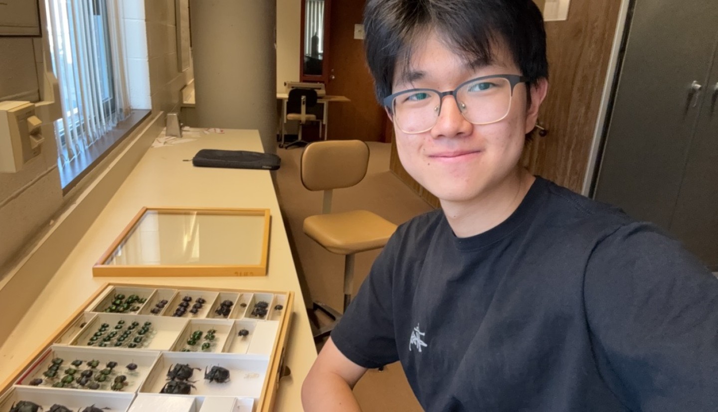 Guy sitting in front of insects