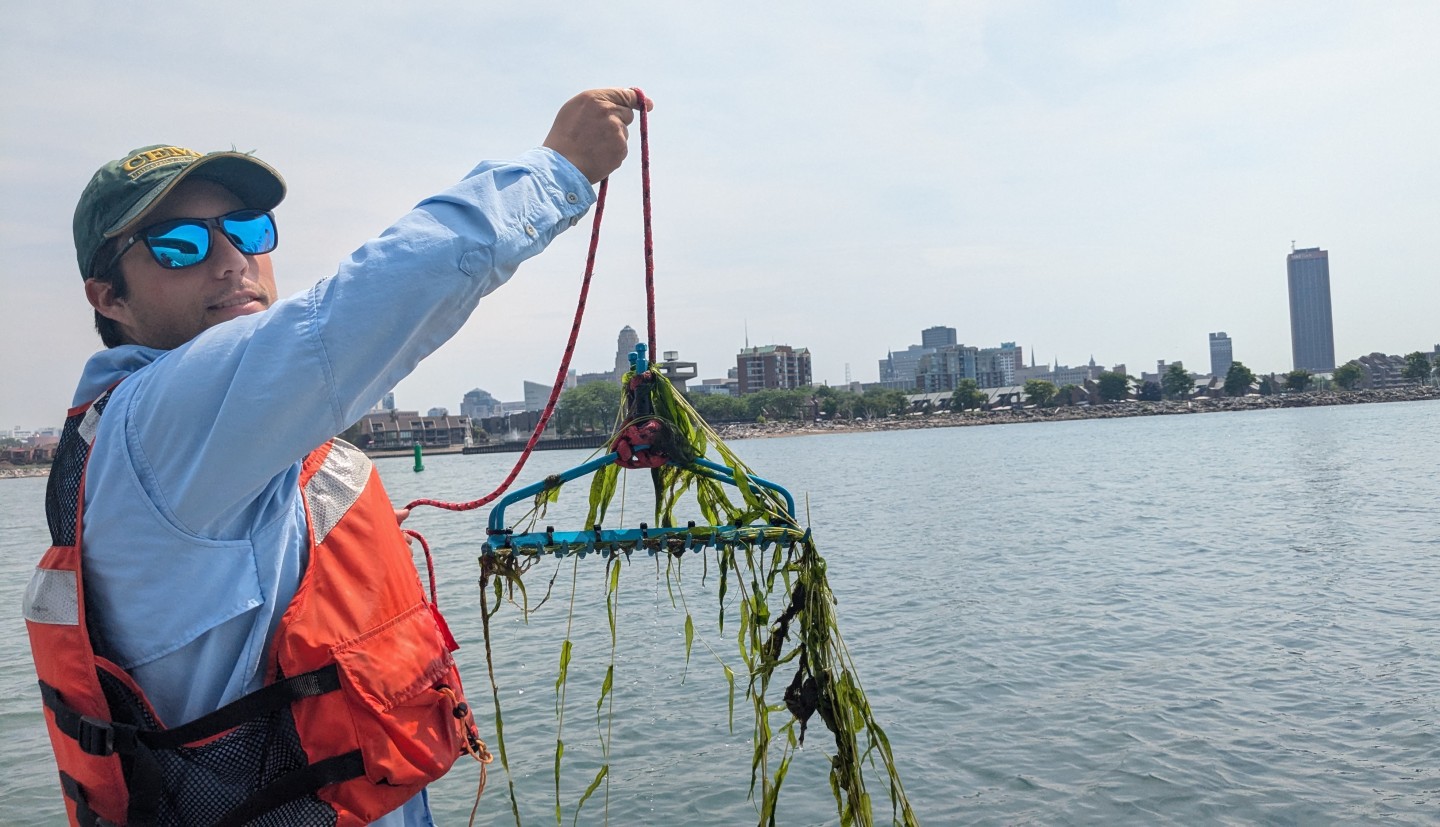 Photograph of a map wearing a hat sunglasses and an orange lifejacket holding up a rake with green aquatic plants on it with a river and city in the background.