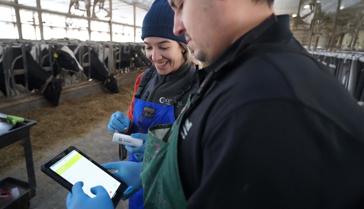 a man and a woman look at tech in a cow barn