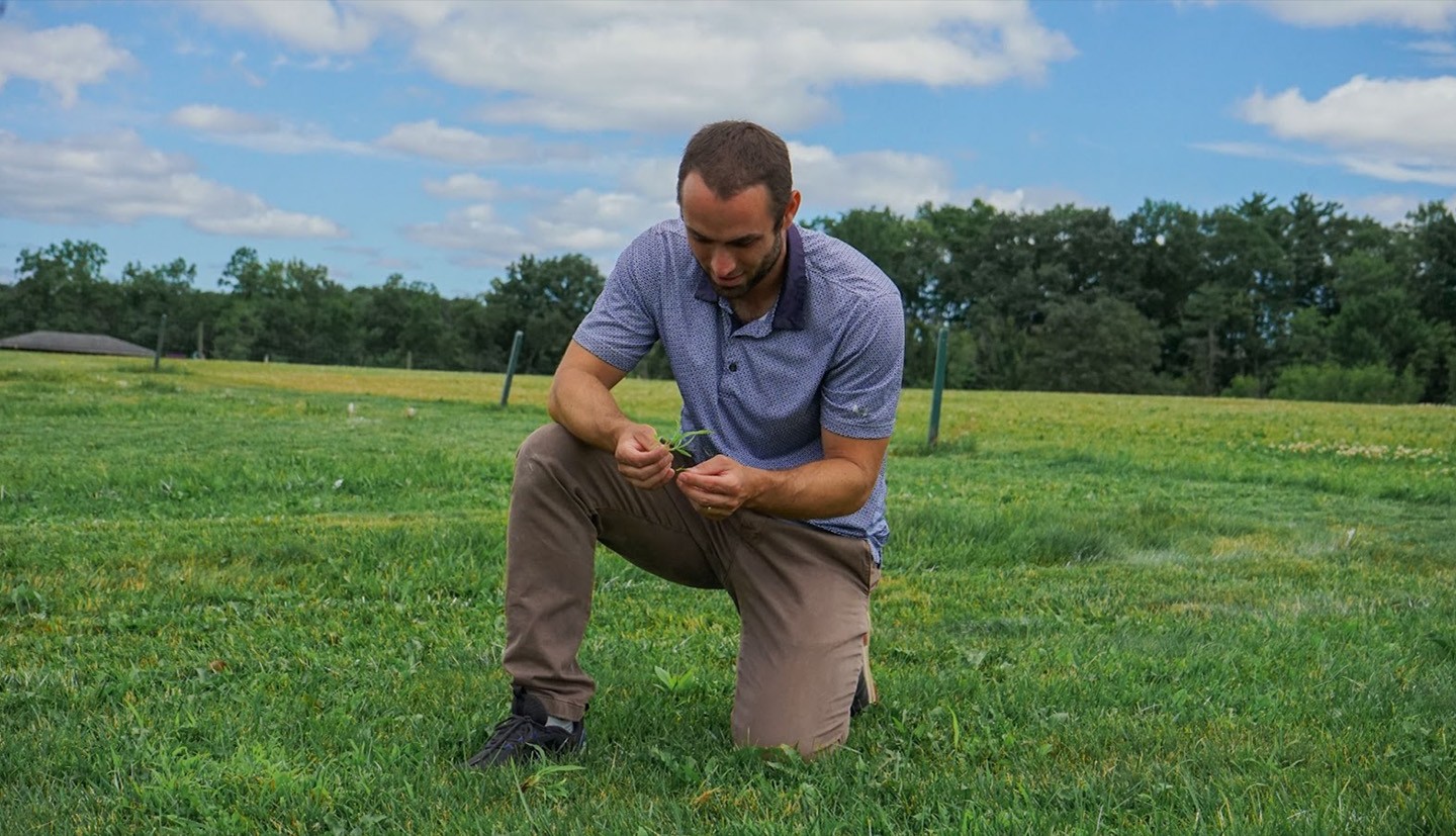 man on knee in field looking at grass in hand
