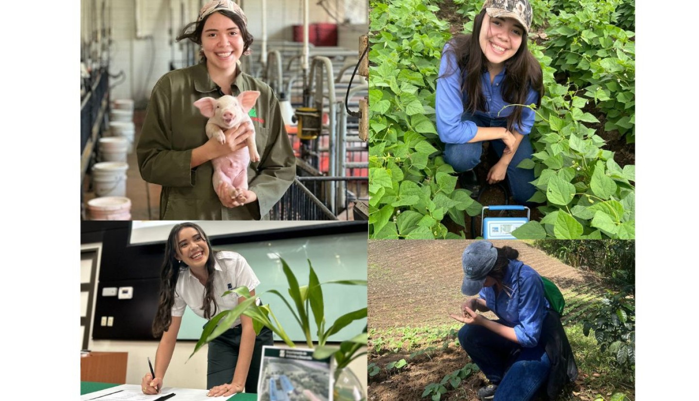 A woman poses while doing work in the field and lab, and during a conference.