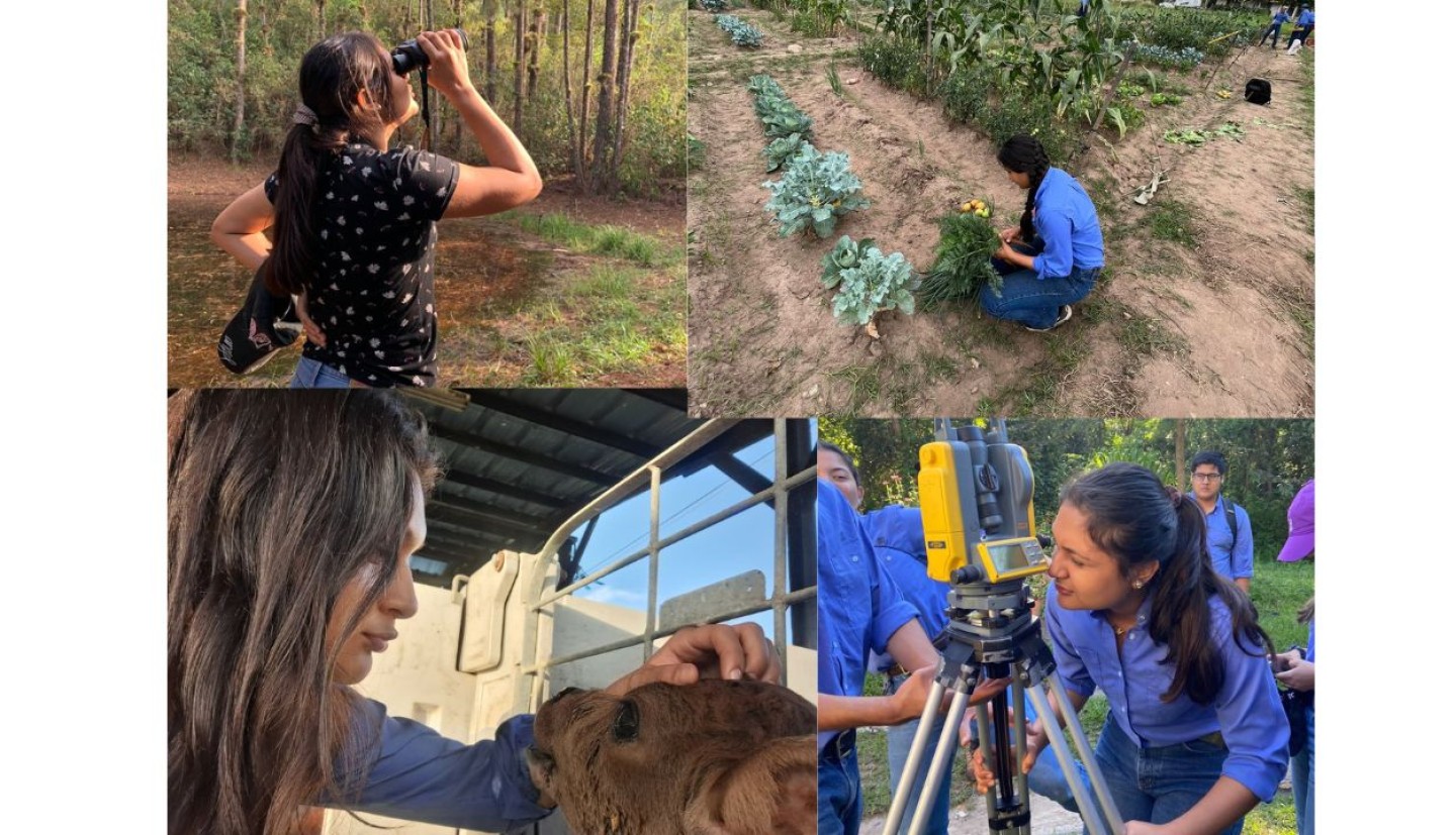 A woman does work in the field and the lab.