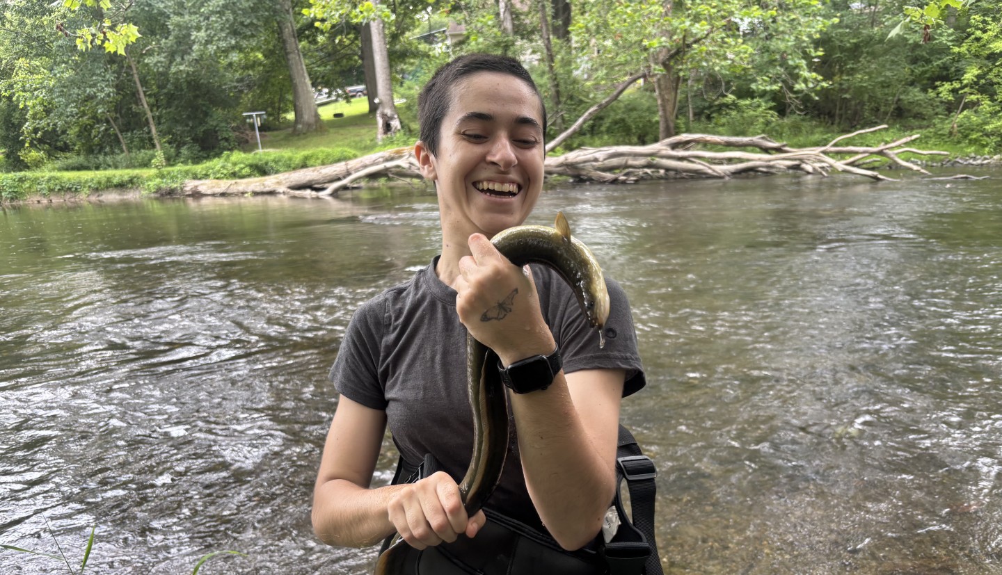 Photograph of a person with a buzz cut smiling holding a large brown and green American eel at the edge of a river.
