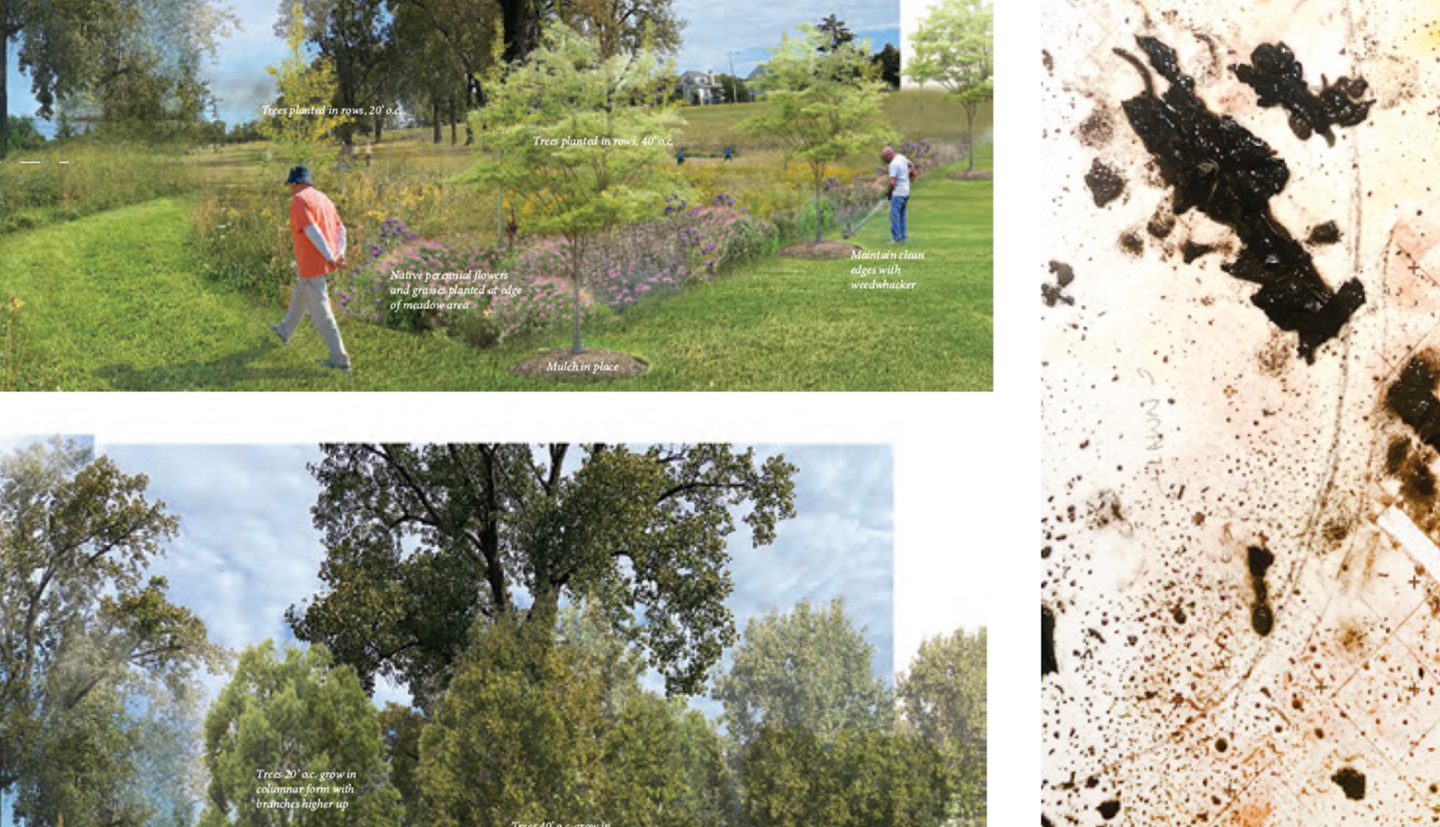 Chesebrough Ribas Prize Project