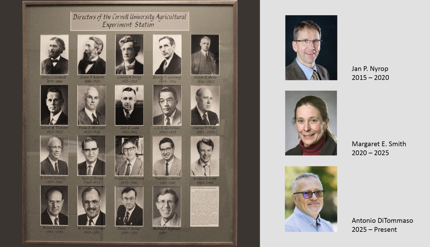 Collage of all Directors of the Cornell University Agricultural Experiment Station