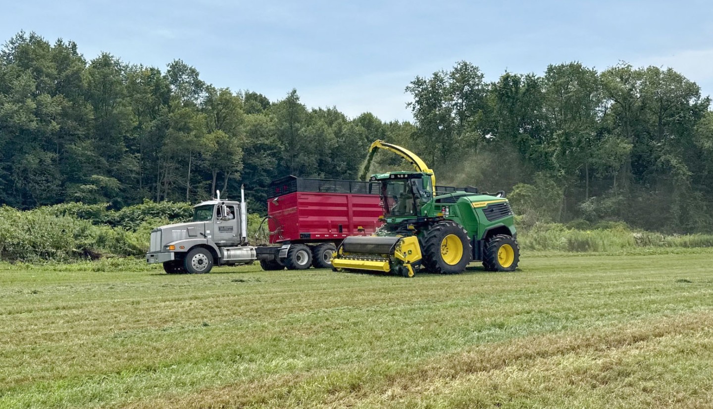 a forage harvester works in a hay field