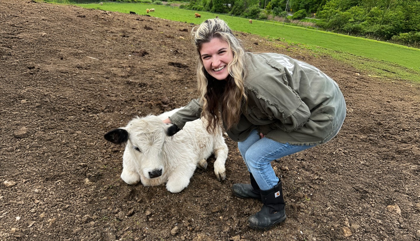 a woman pets a young calf in a field