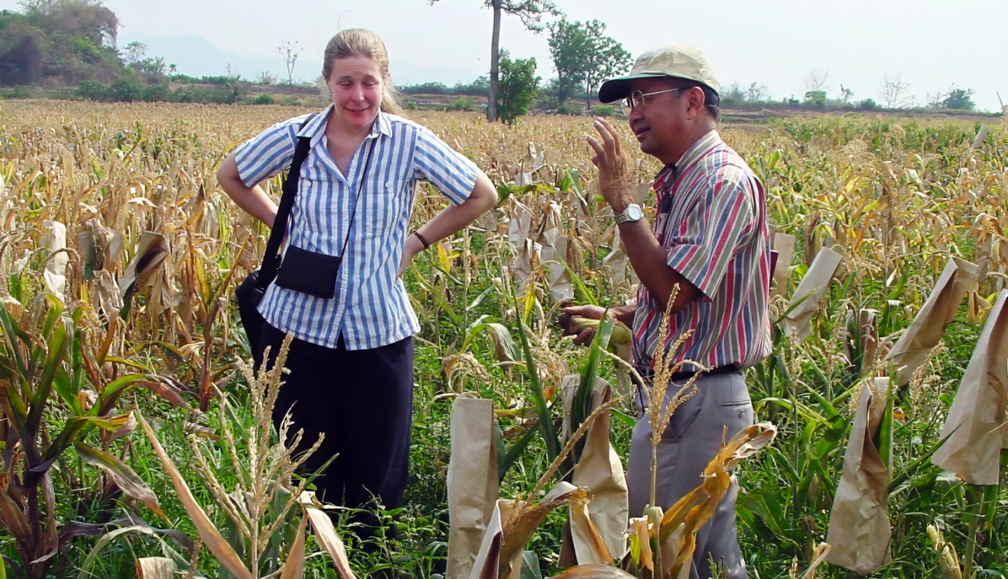 Two people in a corn nursery